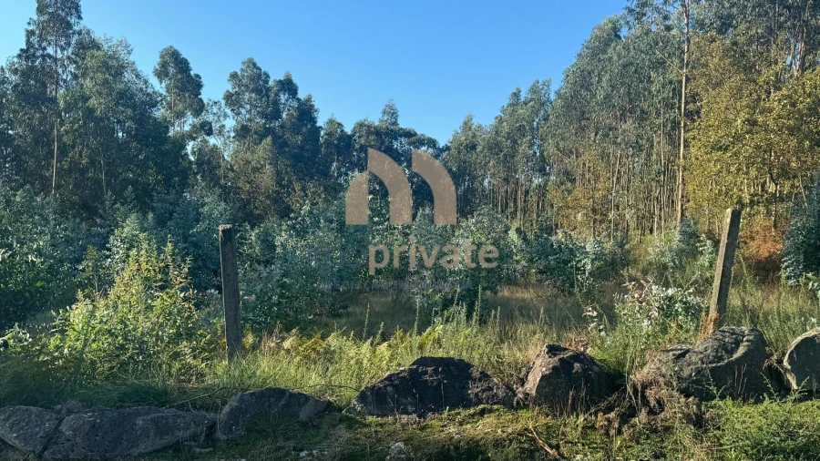 Terreno para Venda em Tagilde e Vizela (São Paio) Foto 14