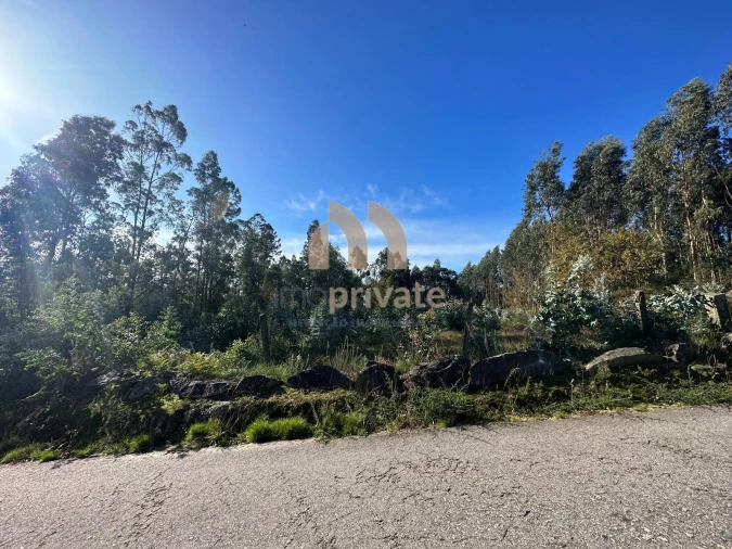 Terreno para Venda em Tagilde e Vizela (São Paio) Foto 7