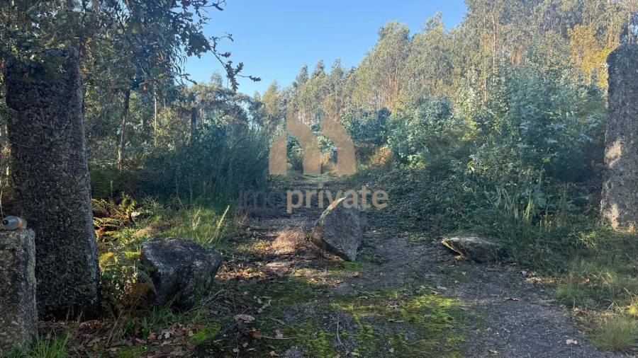 Terreno para Venda em Tagilde e Vizela (São Paio) Foto 13