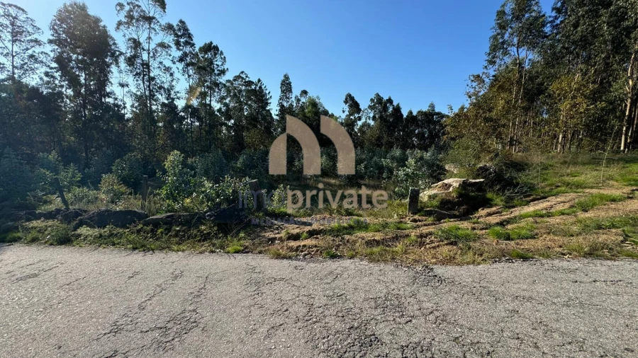 Terreno para Venda em Tagilde e Vizela (São Paio) Foto 15