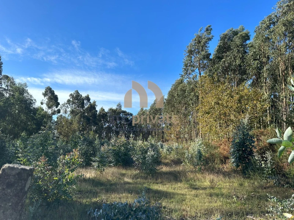 Terreno para Venda em Tagilde e Vizela (São Paio) Foto 2