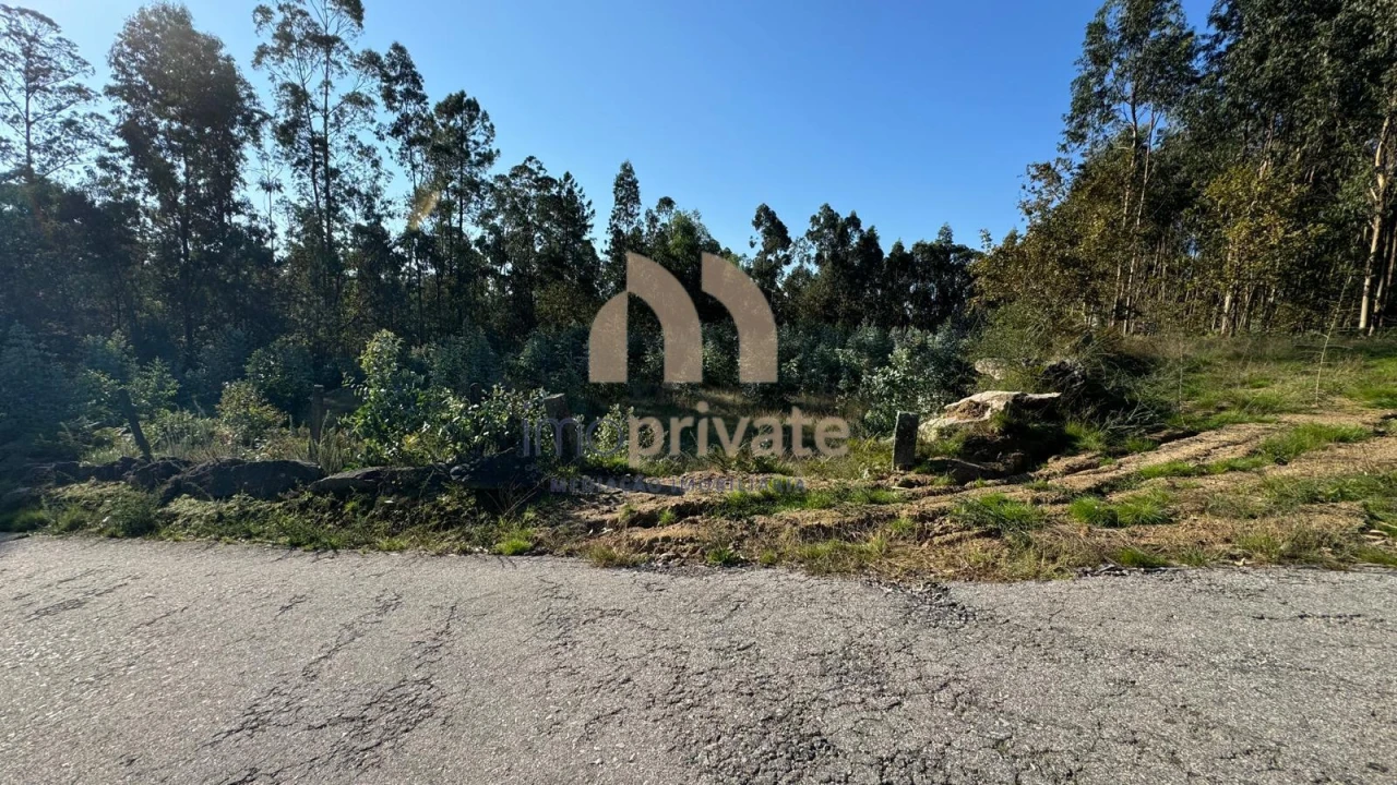 Terreno para Venda em Tagilde e Vizela (São Paio) Foto 15