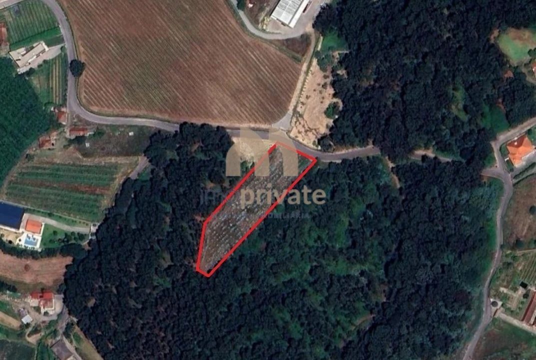 Terreno para Venda em Tagilde e Vizela (São Paio) Foto 1