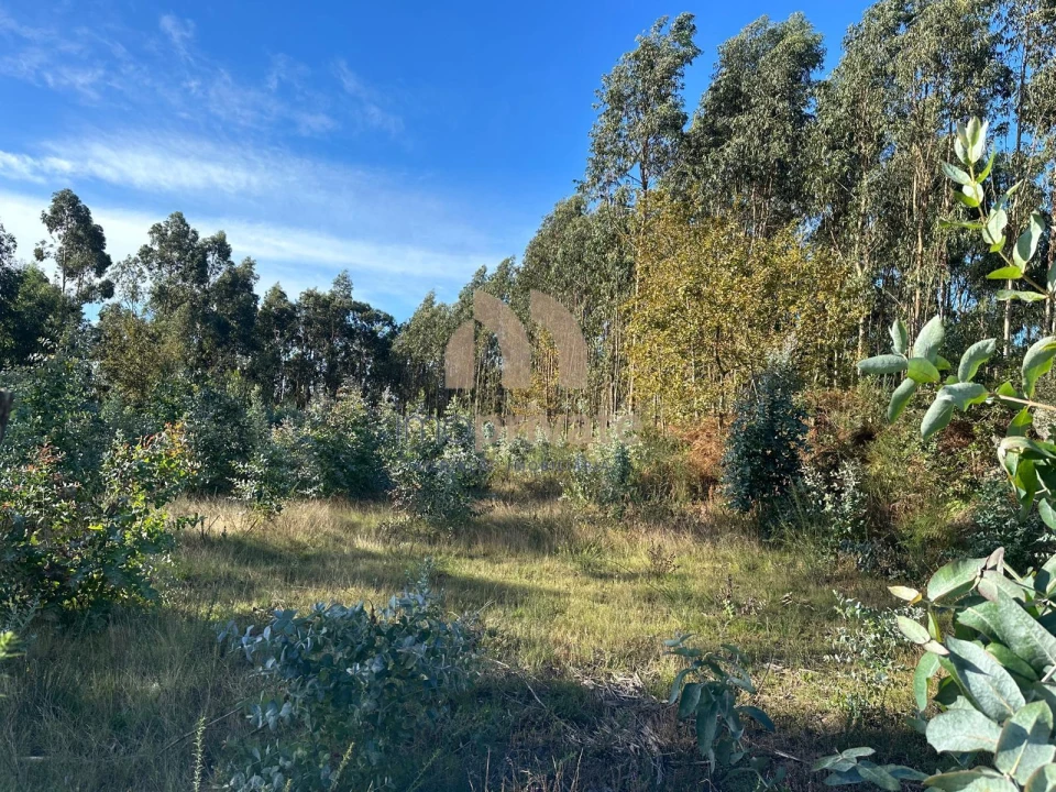 Terreno para Venda em Tagilde e Vizela (São Paio) Foto 8