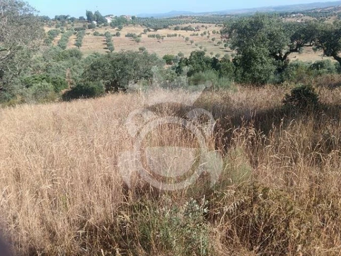 Terreno para Venda em Capelins (Santo Antonio)