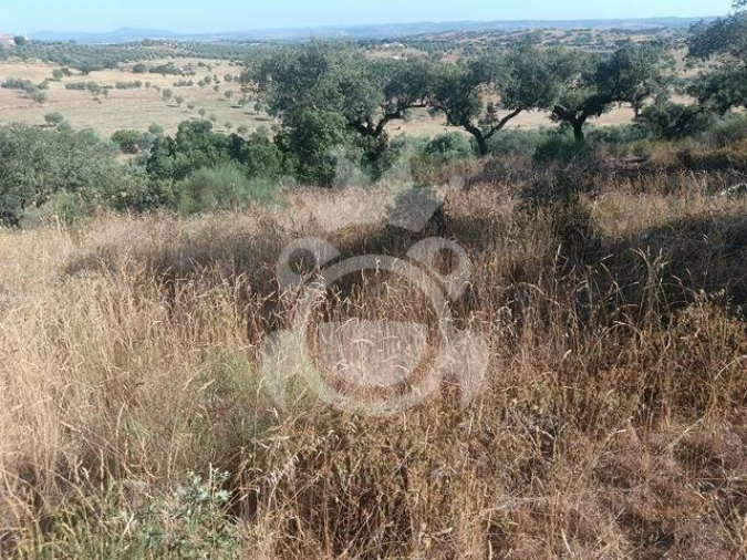 Terreno para Venda em Capelins (Santo Antonio) Foto 3