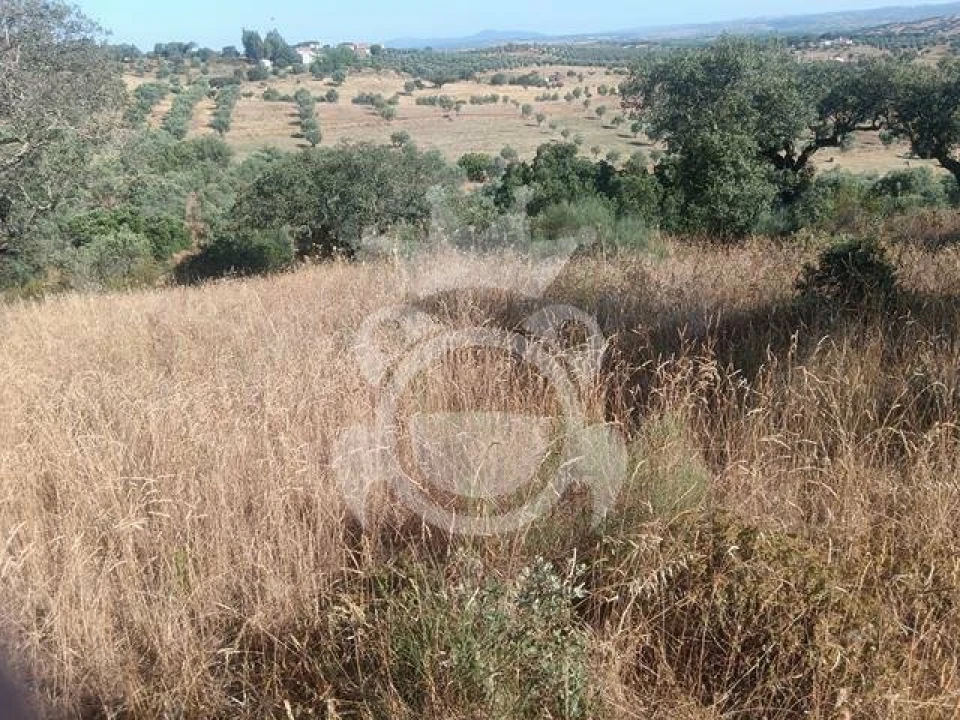 Terreno para Venda em Capelins (Santo Antonio) Foto 1