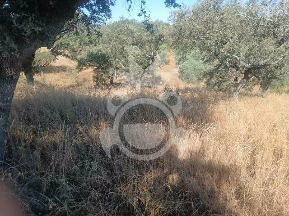 Terreno para Venda em Capelins (Santo Antonio) Foto 2