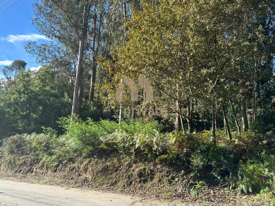 Terreno para Venda em Tagilde e Vizela (São Paio) Foto 2