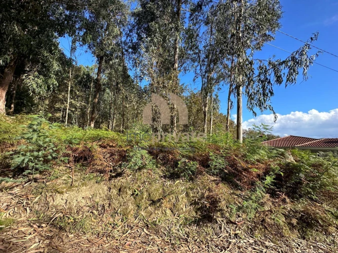 Terreno para Venda em Tagilde e Vizela (São Paio) Foto 7