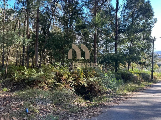 Terreno para Venda em Tagilde e Vizela (São Paio) Foto 3