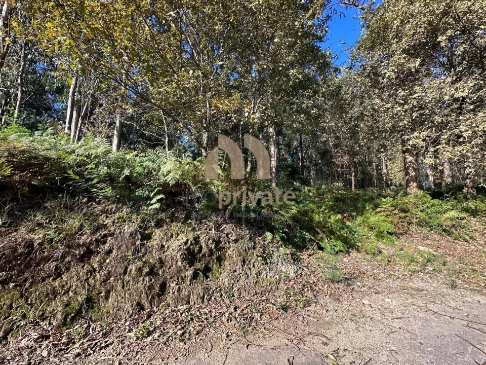 Terreno para Venda em Tagilde e Vizela (São Paio) Foto 5