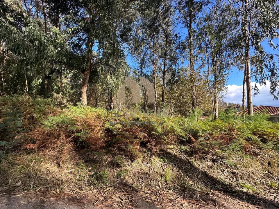 Terreno para Venda em Tagilde e Vizela (São Paio) Foto 6