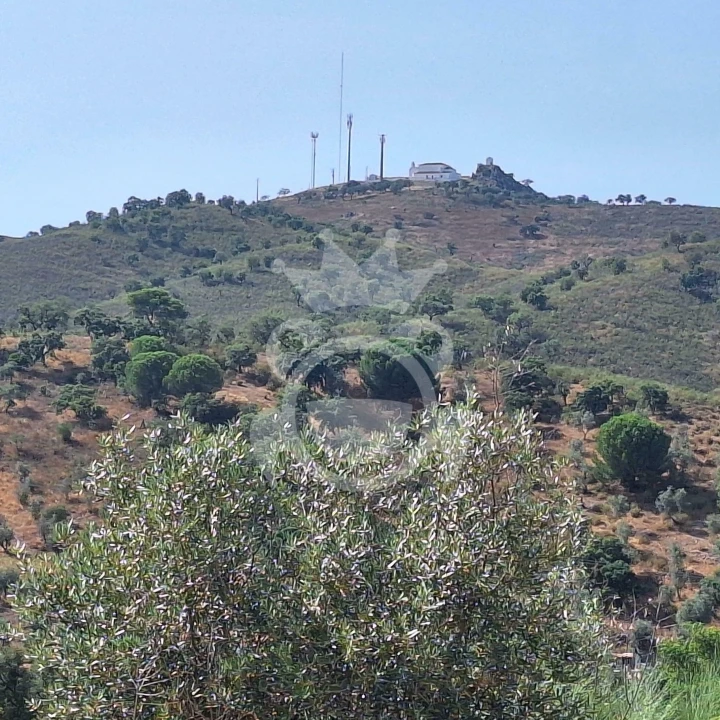 Terreno para Venda em Portel Foto 3