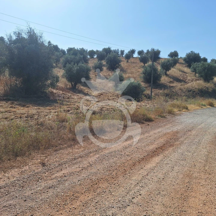 Terreno para Venda em Portel Foto 1
