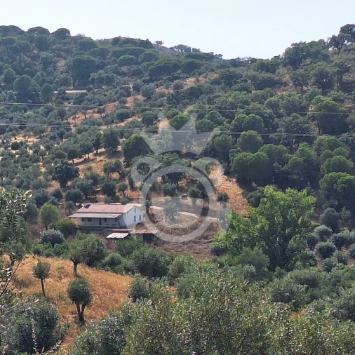 Terreno para Venda em Portel Foto 4