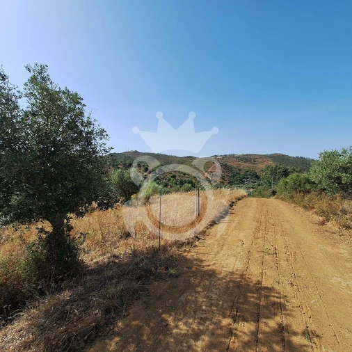 Terreno para Venda em Portel Foto 6