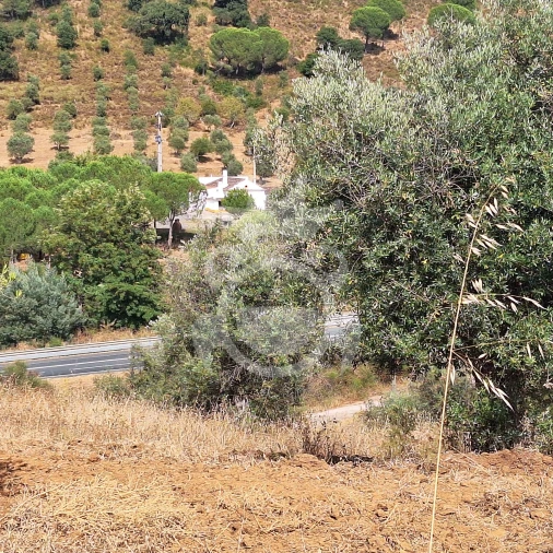 Terreno para Venda em Portel Foto 9