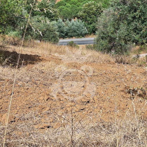 Terreno para Venda em Portel Foto 10
