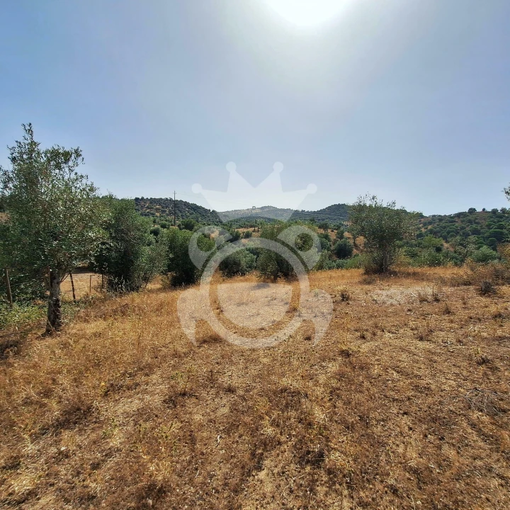Terreno para Venda em Portel Foto 7
