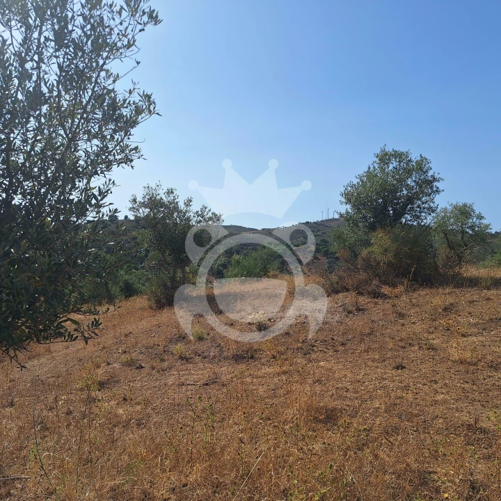 Terreno para Venda em Portel Foto 8