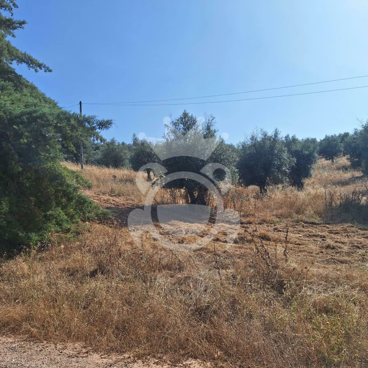 Terreno para Venda em Portel Foto 2