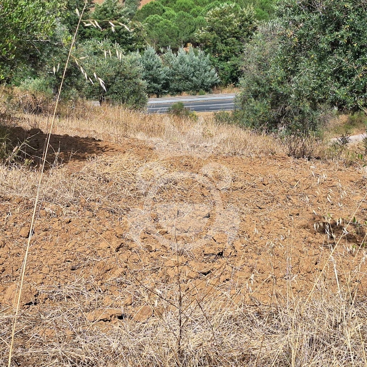 Terreno para Venda em Portel Foto 10