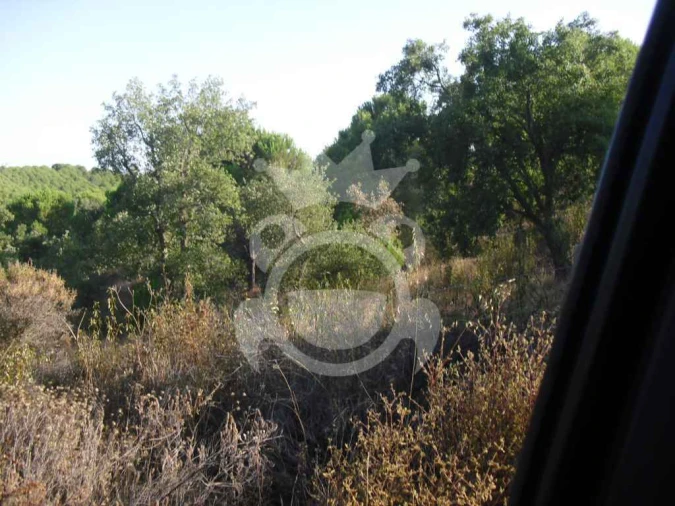 Terreno para Venda em Serpa (Salvador e Santa Maria) Foto 5