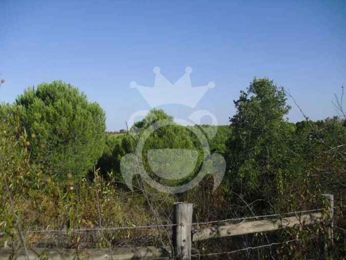 Terreno para Venda em Serpa (Salvador e Santa Maria) Foto 2