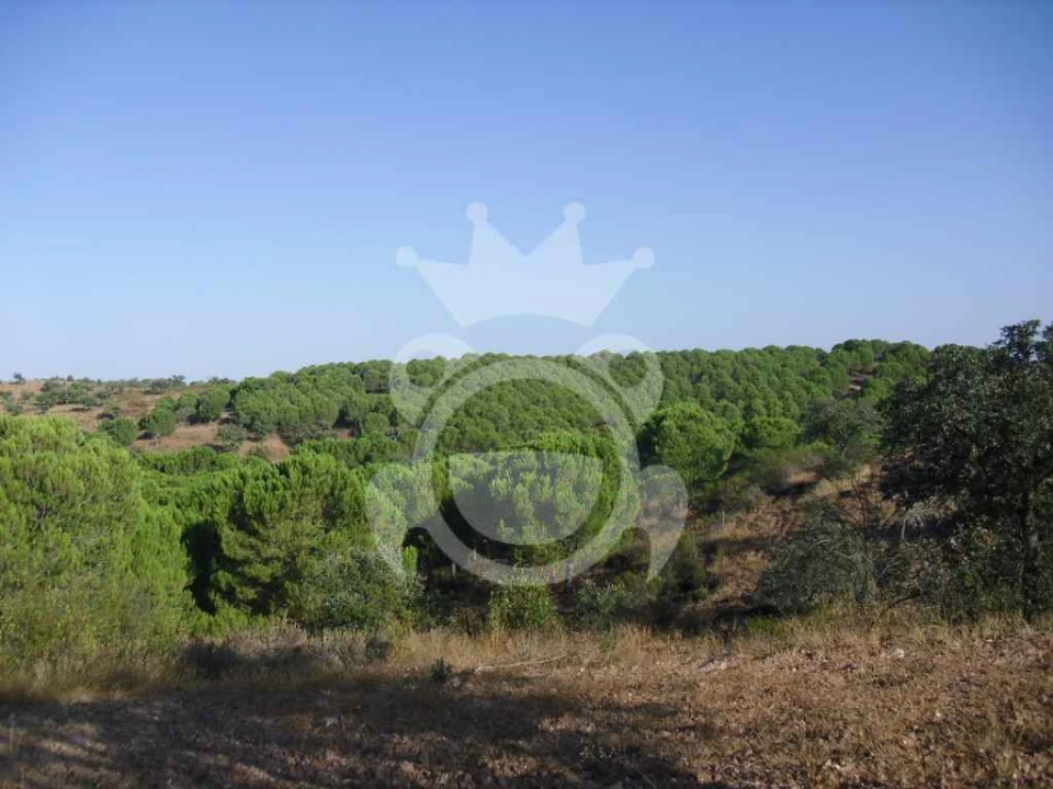 Terreno para Venda em Serpa (Salvador e Santa Maria) Foto 1