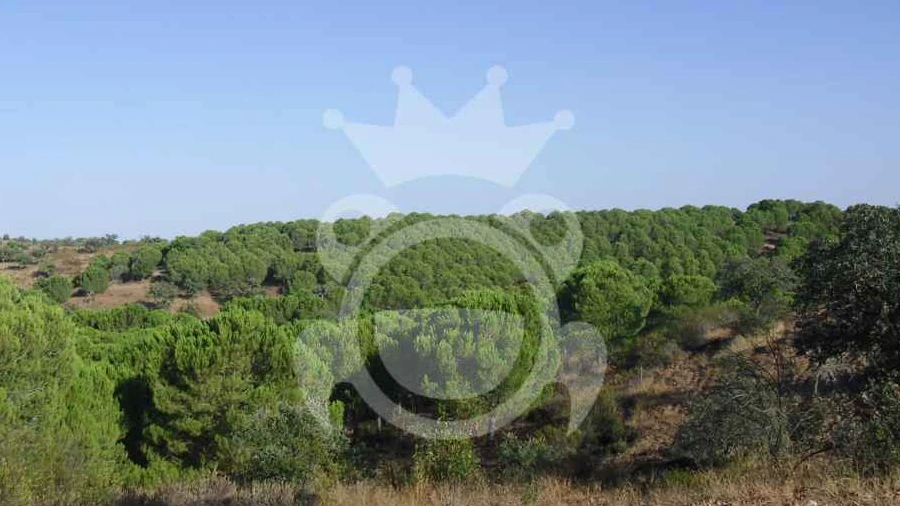 Terreno para Venda em Serpa (Salvador e Santa Maria)