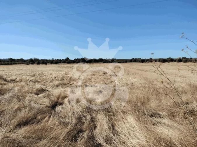 Terreno para Venda em Montoito Foto 4