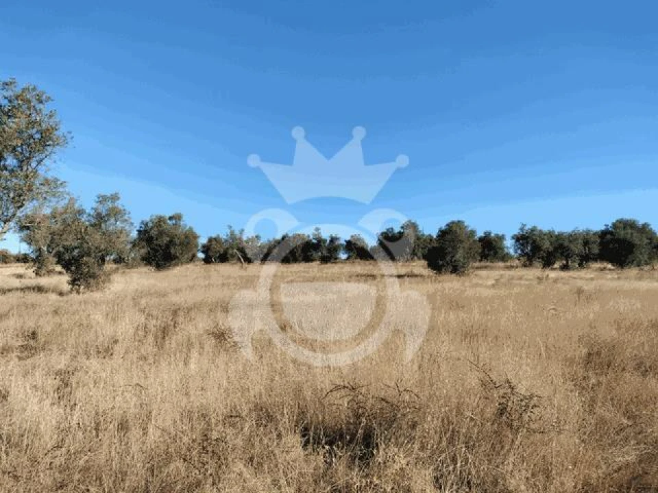 Terreno para Venda em Montoito Foto 1