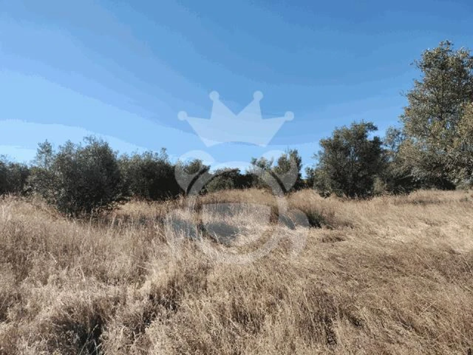 Terreno para Venda em Montoito Foto 3