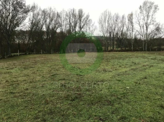 Terreno para Venda em Sonim e Barreiros Foto 5