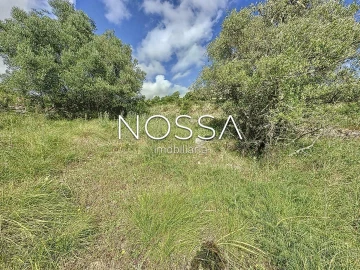 Terreno para Venda em São João das Lampas e Terrugem