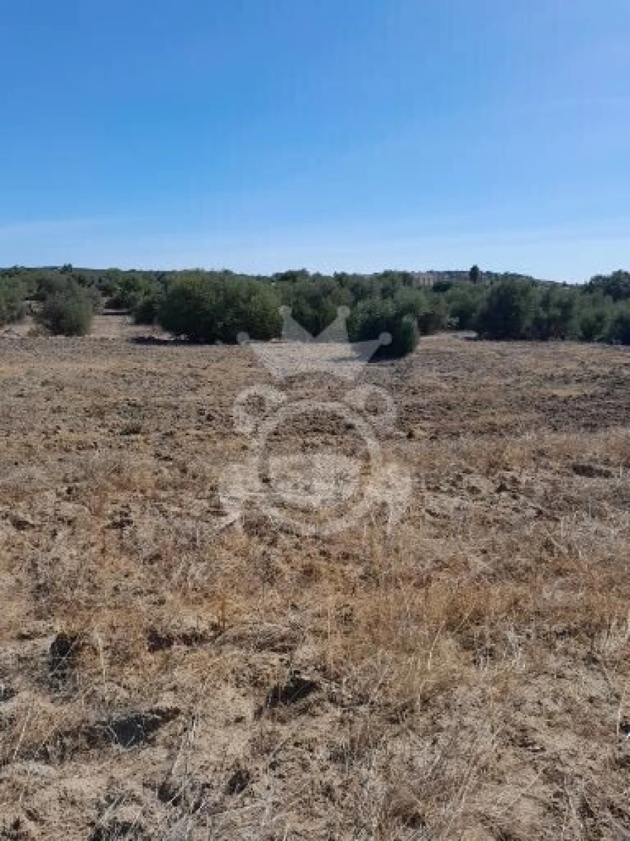 Terreno para Venda em Corval
