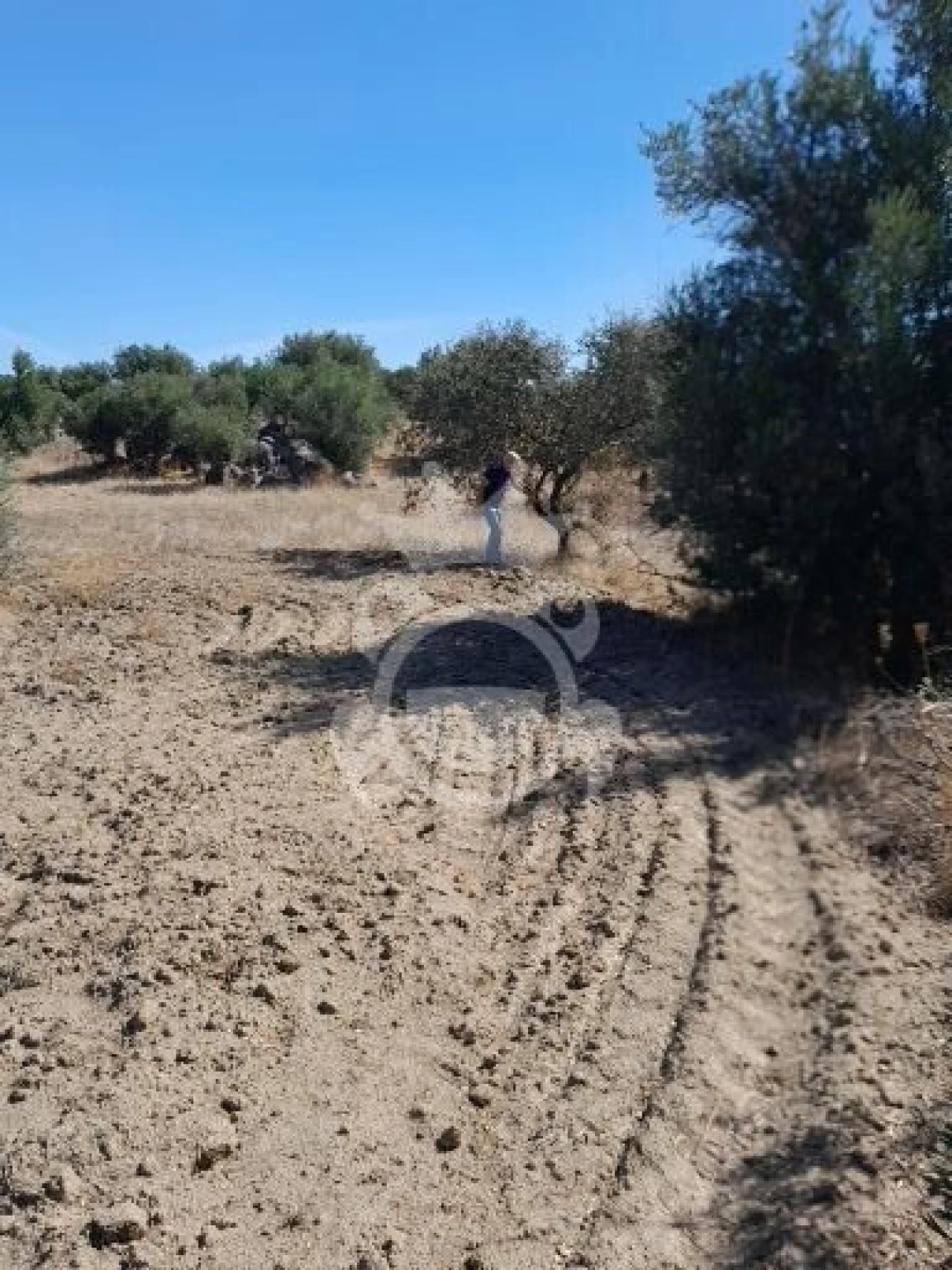 Terreno para Venda em Corval Foto 4