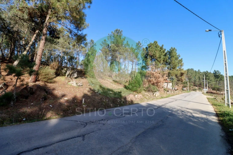 Terreno para Venda em Vale de Anta Foto 2