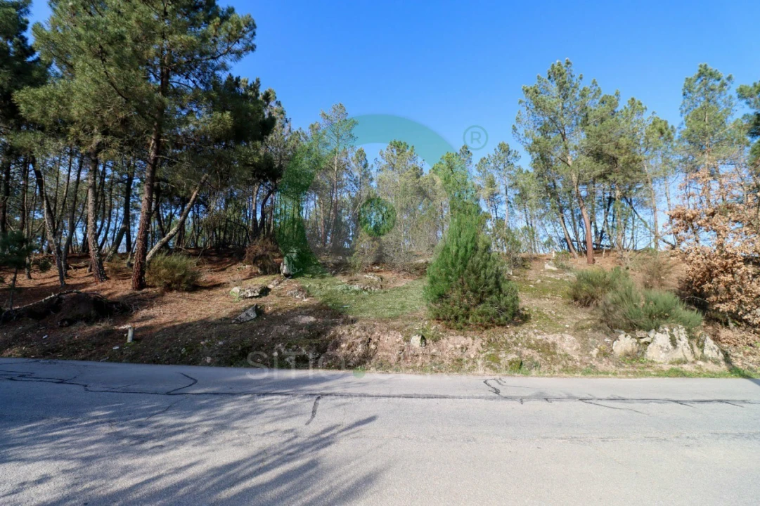 Terreno para Venda em Vale de Anta Foto 1