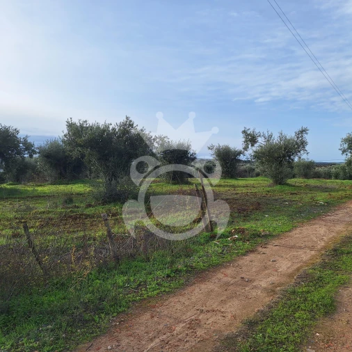 Terreno para Venda em Portel