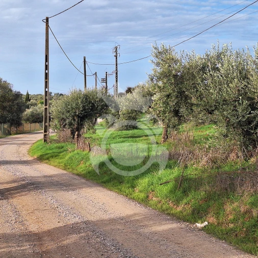Terreno para Venda em Portel Foto 6