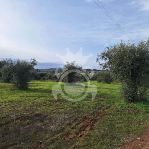 Terreno para Venda em Portel Foto 3