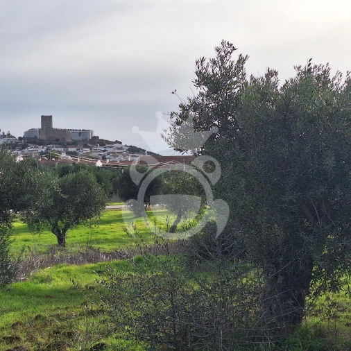 Terreno para Venda em Portel Foto 4