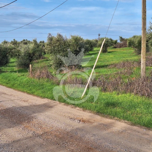 Terreno para Venda em Portel Foto 10