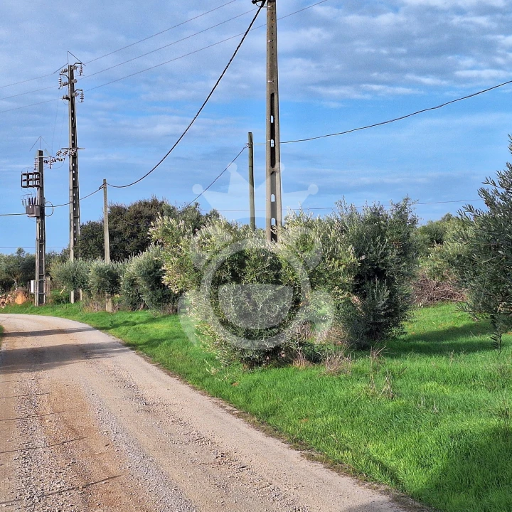 Terreno para Venda em Portel Foto 11