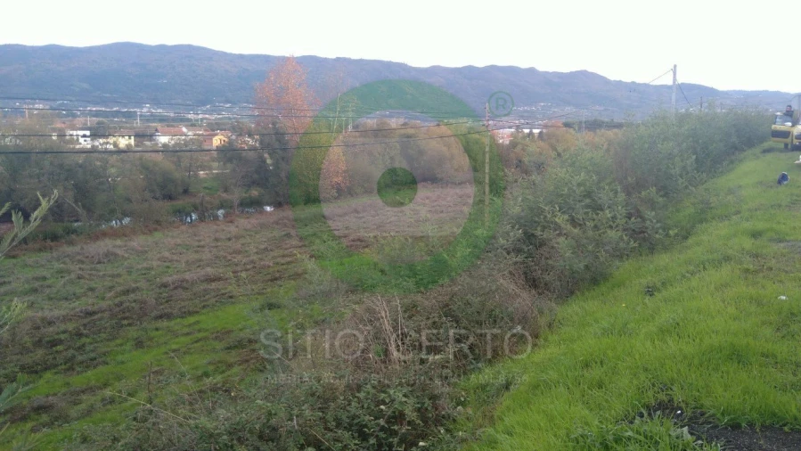 Terreno para Venda em Madalena e Samaiões Foto 3