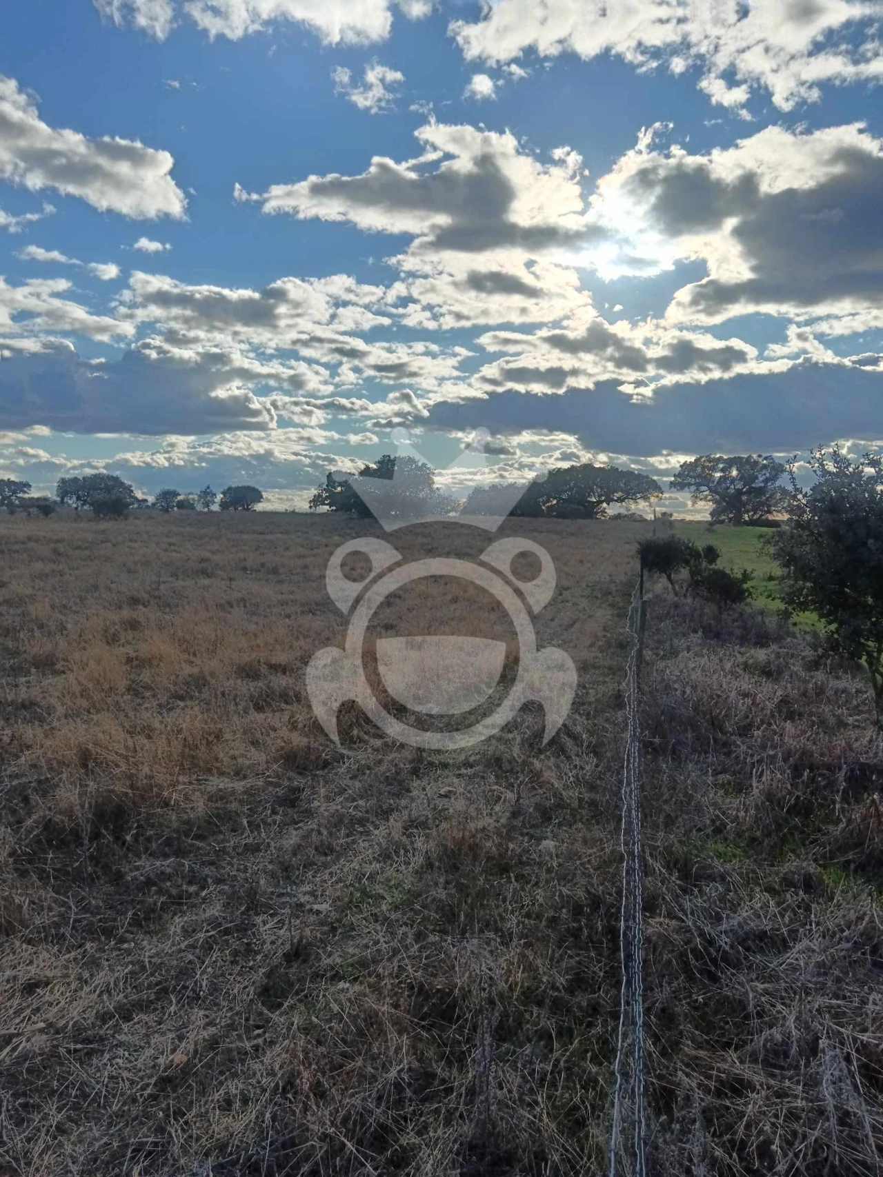 Terreno para Venda em Capelins (Santo Antonio) Foto 6