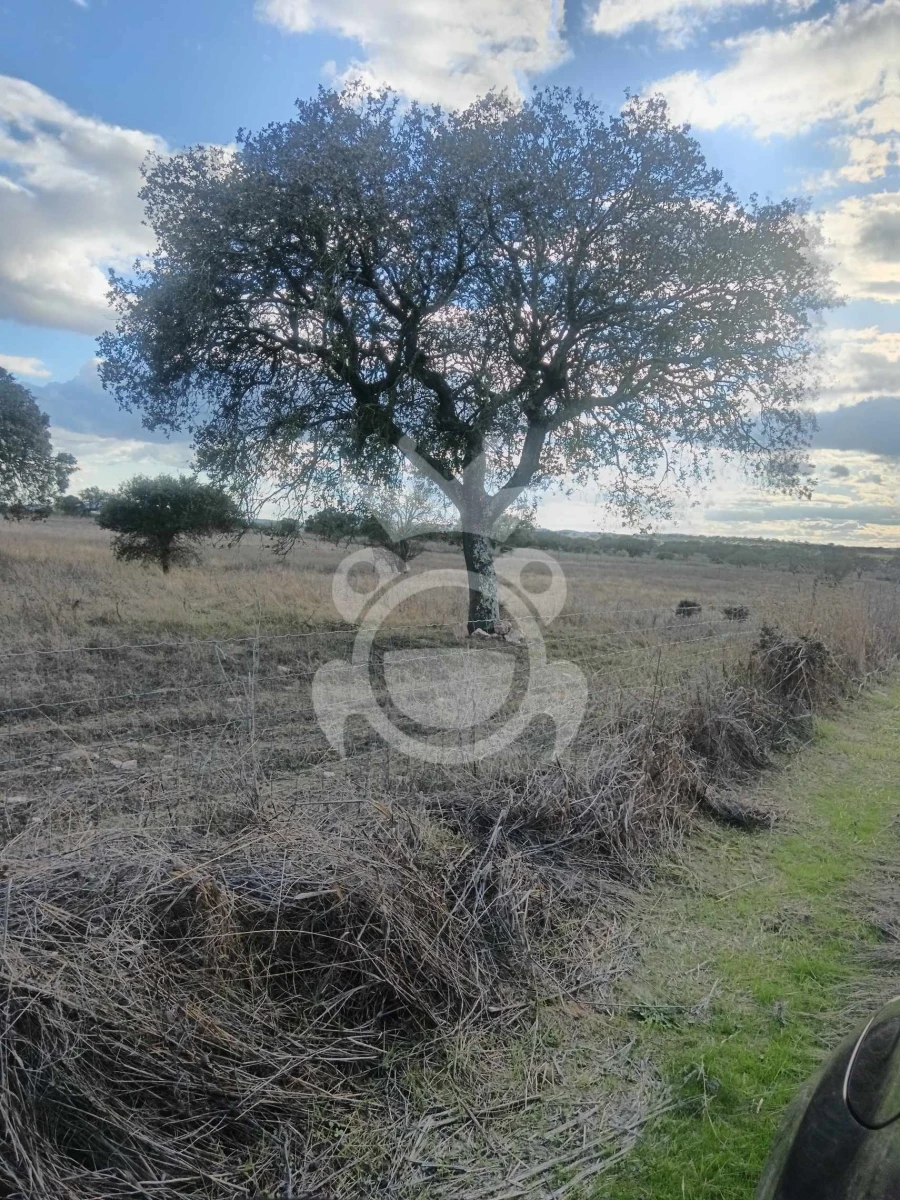 Terreno para Venda em Capelins (Santo Antonio) Foto 13