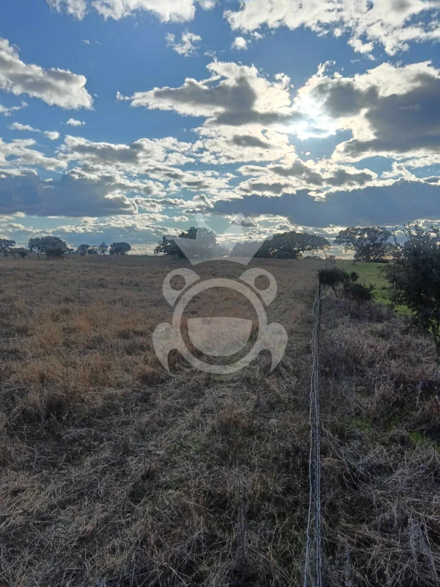 Terreno para Venda em Capelins (Santo Antonio) Foto 6